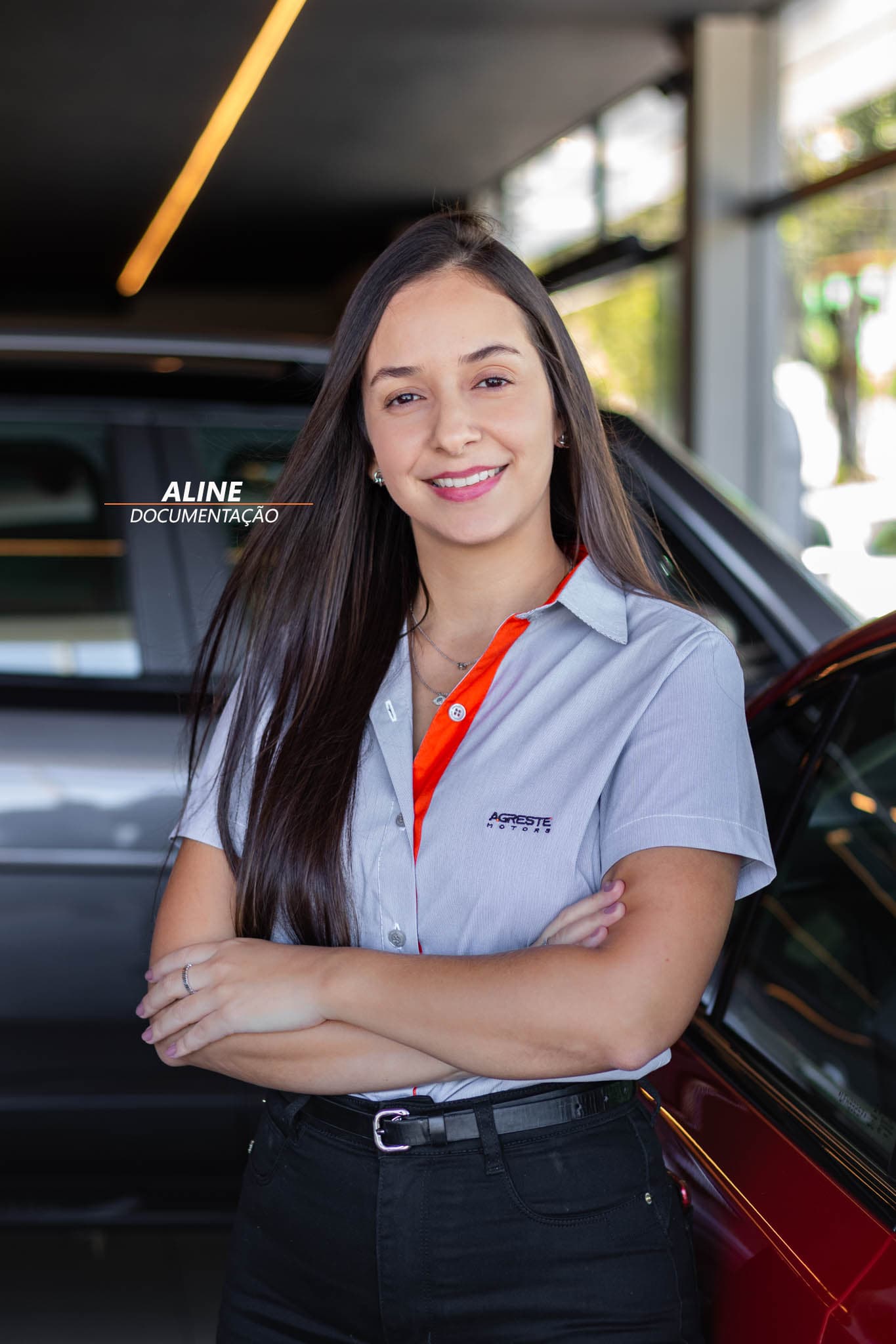 Aline, Documentação da Agreste Motors